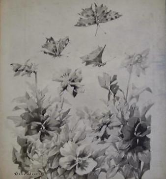 Louise Abbéma: Fleurs et papillons (lavis d'encre noire, musée d'Etampes)
