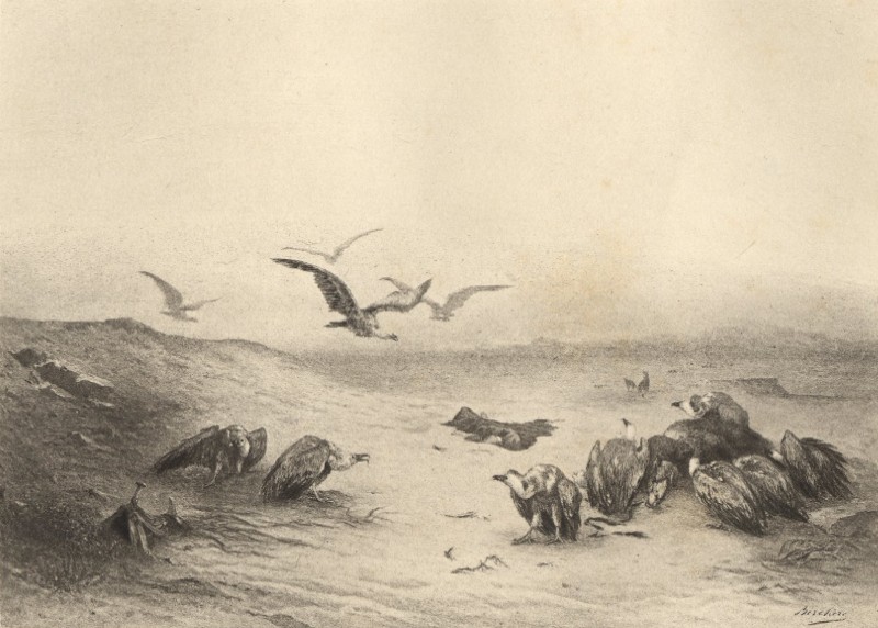 Narcisse Berchère: Après le Simoun (photogravure d'après l'huile sur toile originale de 1864)