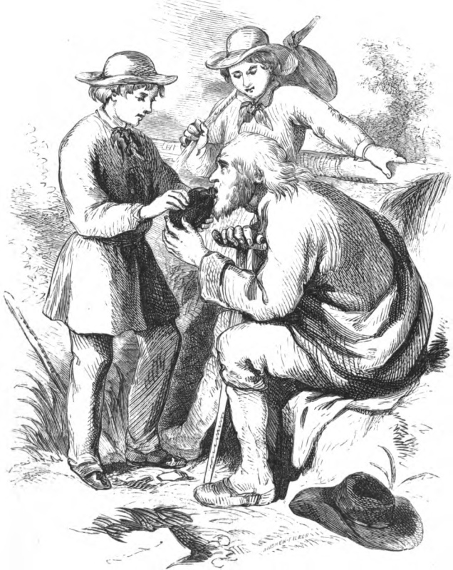 Illustration de Billings pour l'édition étatsunienne des Contes à Henriette (1860)