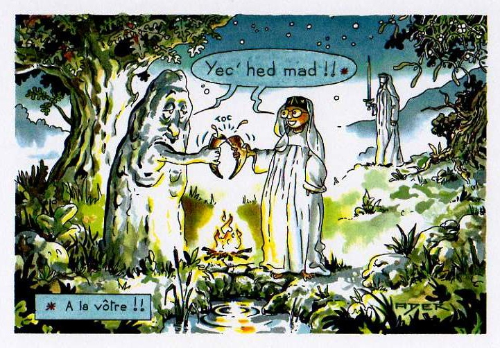 Gaëtan Ader: Mythe et réalité des druides (Chrétiens magazine n°194, novembre 2006)
