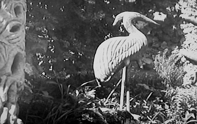 Villa Les Rochers (extrait du film documentaire de Brunius, 1938-1939)