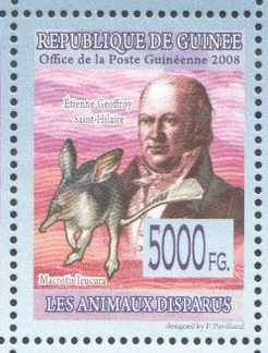 Etienne Geoffroy-Saint-Hilaire et le Macrotis leucura (timbre postal guinéen, 2005)