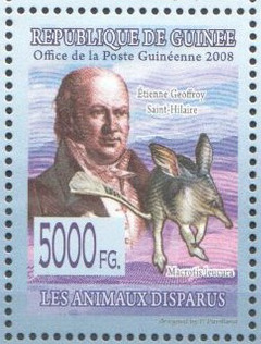 Etienne Geoffroy-Saint-Hilaire et le Macrotis leucura (timbre postal guinéen, 2005)