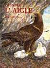 Raconte l'aigle