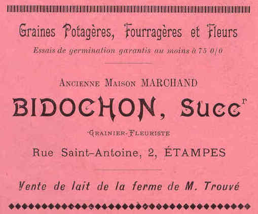 Bidochon