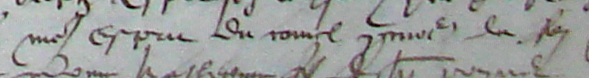 Maistre Esprit Ducamel procureur du roy (Notre-Dame 28 décembre 1550)