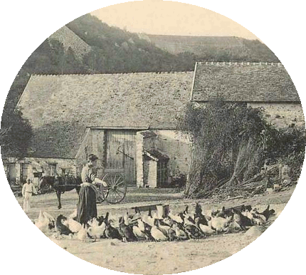 Le moulin de Souzy-La-Briche