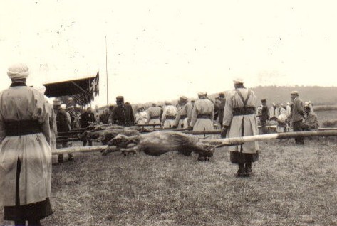 Présentation des neufs moutons rôtis pour le méchoui d'honneur.