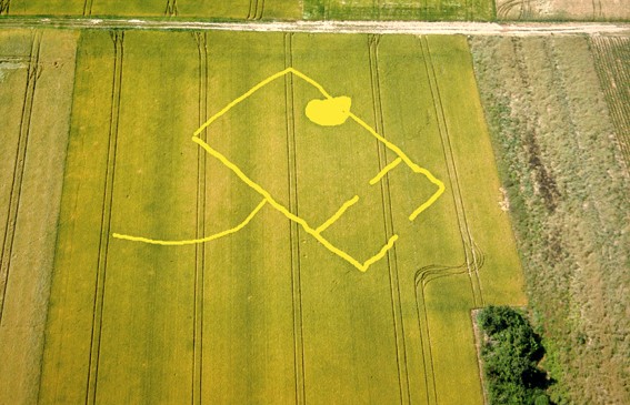 Site dans la commune de  Mespuits (© François Besse, 2004)