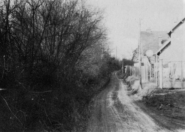 Le Chemin de la Croix-de-Vernailles (1967)