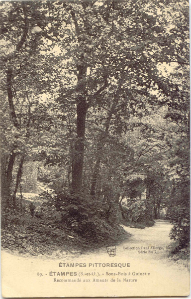 Sous bois à Guinette