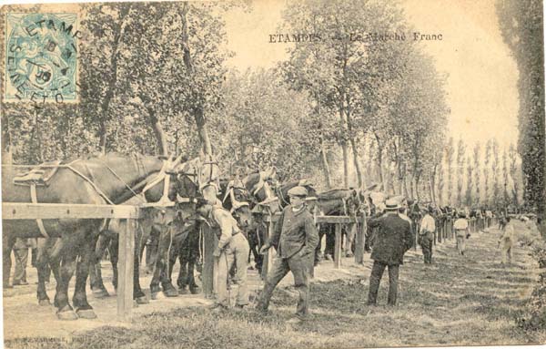 Le Marché Franc en 1904 (carte postale Marmuse)