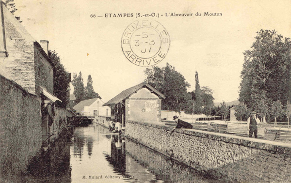 Carte postale Mulard n°66